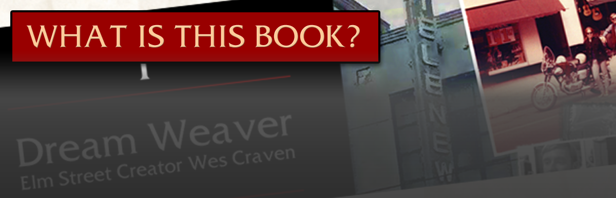 What is this book?