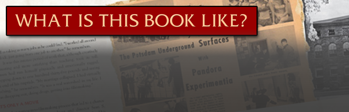 What is this book like?